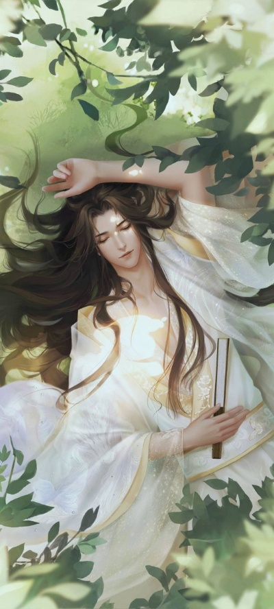 探寻经典再现：《灵猫传》游戏是否依旧可玩，独特魅力是否持续存在？