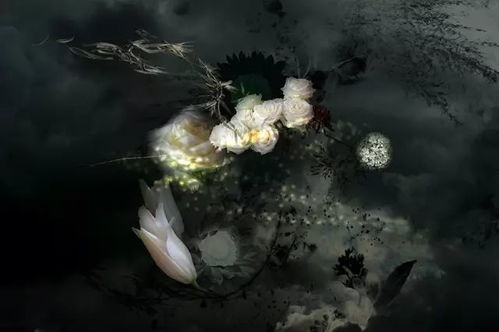 神奇之笔描绘梦幻世纪:揭示镜花水月背后的现实意涵——以墨图创作为载体