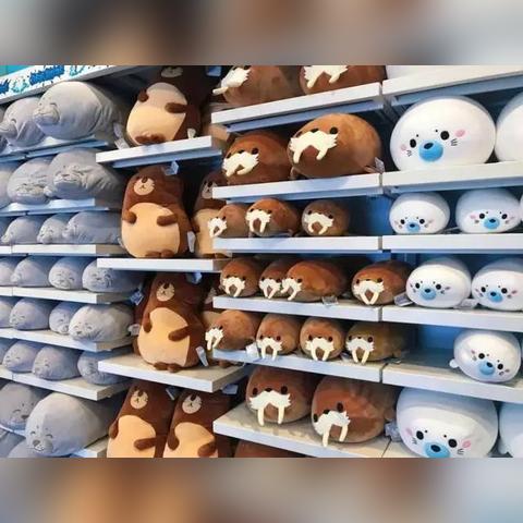 (小鸟多久刷新)小鸟爱飞翔的奇观:多少级激活才能真正领悟