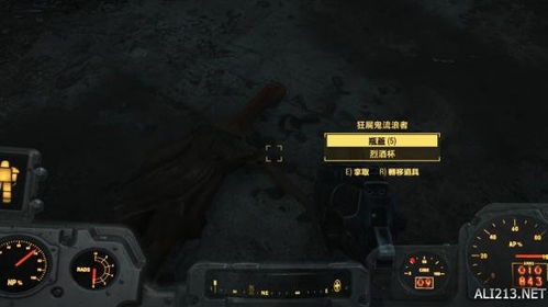 探索未知领域，辐射4图文攻略助您轻松成就全面征服游戏的绝佳利器