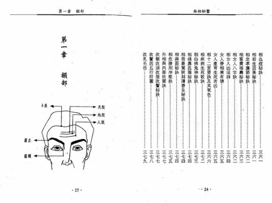天下第一相书PDF微盘下载：探索古代相术的智慧与秘密，助你解析面相