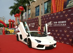 (哈尔滨豪车盛宴会展店)哈尔滨豪车盛宴洗车价格一览,豪车洗护服务怎么样?