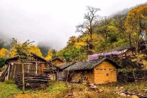 平坦村在哪里？想要探寻这个宁静如画的村庄在哪，一起探秘它的美丽风景。