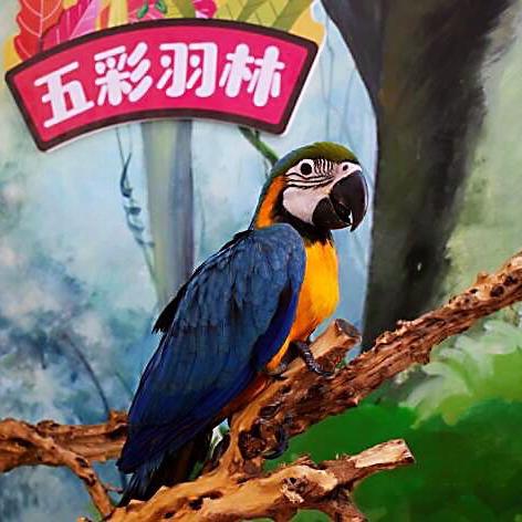 (探险文字游戏)探险奇遇:带你寻字探秘的网游世界
