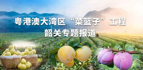全员削水果咋上不去了呢?探讨团队协作与沟通中存在的问题及解决方案