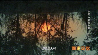 (艾人的农场)探秘艾人的庄园:一段关于自然、梦想与人文交融的奇幻旅程