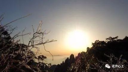 (宫墙柳橙光)宫墙之下橙光耀眼,照亮了沉睡的往事和迷失的感情