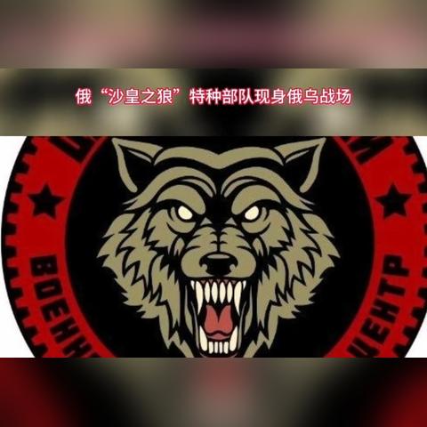 探索吃鸡特种精英:解锁战场新玩法,向击败敌人的最高荣耀进发