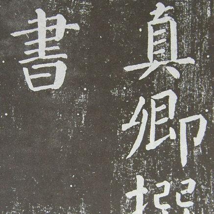 (极域是哪个公司)域极天下太坑了:深入剖析其背后的市场真相与用户体验 (极域是哪个公司)域极天下太坑了:深入剖析其背后的市场真相与用户体验