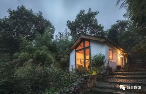 (蛋屋哪里有售)探秘蛋屋民宿:与自然共生的别具特色住宿体验 (蛋屋哪里有售)探秘蛋屋民宿:与自然共生的别具特色住宿体验