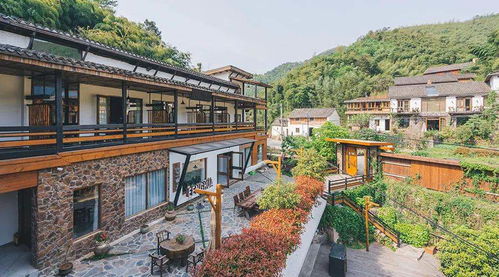 (蛋屋哪里有售)探秘蛋屋民宿:与自然共生的别具特色住宿体验 (蛋屋哪里有售)探秘蛋屋民宿:与自然共生的别具特色住宿体验