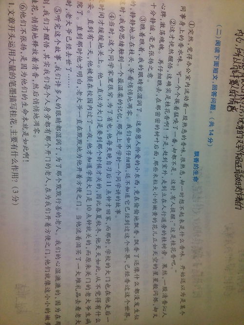 如何撰写一个独具钢魂特质的文章？灵感与实践的结合，提升文笔层次。