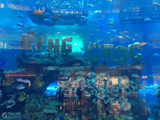(安利亚水族馆)安利亚王国的中心究竟在哪里，神秘彷徨的宫殿探秘之旅