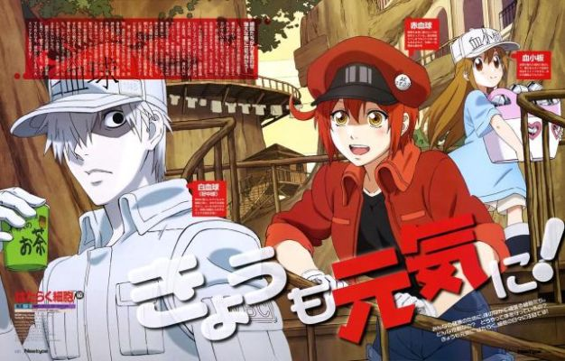 深度解析：日本动漫《工作细胞》在中国被禁的背后原因与社会文化影响研究